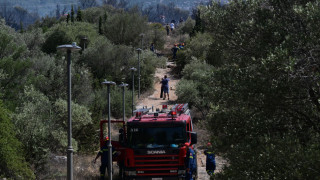 Αιγάλεω: Μέλος του ISIS δηλώνει ο 32χρονος-Επιτέθηκε σε 3 γυναίκες, προκάλεσε εμπρησμό και στον Υμηττό