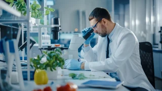 GlyTR: Η νέα επαναστατική ανοσοθεραπεία που στοχεύει μόνο τα καρκινικά κύτταρα