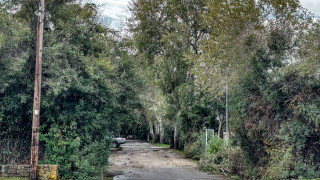 Μεσσηνία-Διπλό φονικό σε κάμπινγκ: «Ήταν ξεκαθάρισμα, δεν ήταν ληστεία...»