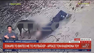 Βίντεο-ΣΟΚ: 76χρονος δέχθηκε άγρια επίθεση από τον σκύλο του