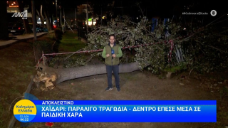 Χαϊδάρι: Ξεριζώθηκε δέντρο και καταπλάκωσε παιδική χαρά