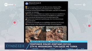 Ν. Μηχανιώνα: Πώς δικαιολόγησε ο 90χρονος ότι έθαψε ζωντανό τον σκύλο του