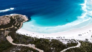 Μπουκάλι από τον Α' Παγκόσμιο Πόλεμο ξεβράστηκε στην Αυστραλία: «Περνάμε πολύ καλά...»