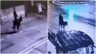 Διέρρηξε κοσμηματοπωλείο και διέφυγε με... γαϊδούρι