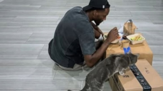 Τι ενώνει Γιαννακόπουλο και Ντέιβις