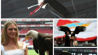 ΑΦΙΕΡΩΜΑ: Εκεί     που πετούν                        οι αετοί