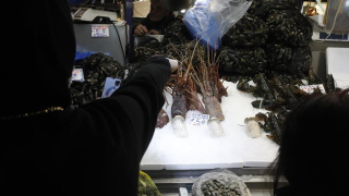 Καθαρά Δευτέρα: Τραπέζι από... χρυσάφι με ανατιμήσεις σε όλα τα σαρακοστιανά