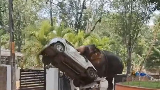 Ινδία: Ελέφαντας ξέφυγε σε θρησκευτική εκδήλωση και σκόρπισε τον πανικό στην Κεράλα