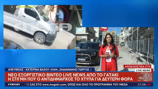 Κρήτη: Πρώην αντιδήμαρχος κατηγορείται για θανάτωση γατιού, υπάρχει και βίντεο!