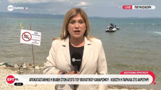 Πευκοχώρι: Σύλληψη αντιδημάρχου μετά τη ρύπανση στην ακτή «Ακρωτήρι»