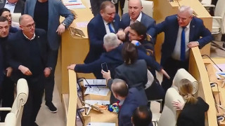 Γεωργία: Άγριο ξύλο μέσα στη Βουλή