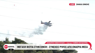Τιτάνια μάχη με τις φλόγες στην Οινόη: Κλειστή η παλιά εθνική Θηβών-Ελευσίνας