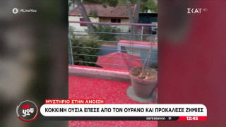 Αττική: Άγνωστη ουσία κάλυψε σπίτια στην Άνοιξη