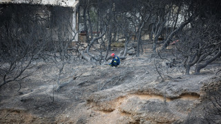 Οκτώ χρόνια από την πυρκαγιά στο Μάτι: Συγκίνηση και εκδηλώσεις μνήμης