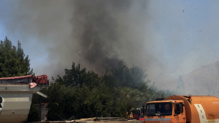 Κύκλωμα εμπρηστών στη Μεσσηνία: Χειροπέδες σε πυροσβέστη και κοινοτάρχη