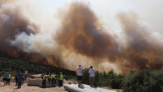 Συνελήφθη ο δήμαρχος Στυλίδας για την πυρκαγιά στη Βοιωτία