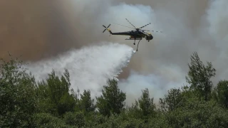 Φωτιά Ψάθα - Σύγκρουση ελικοπτέρων: Στο 251 μεταφέρονται οι δύο διασωθέντες από το ένα πλήρωμα