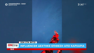Καρχαρίας επιτέθηκε σε δύτη αλλά δεν του κρατά... κακία