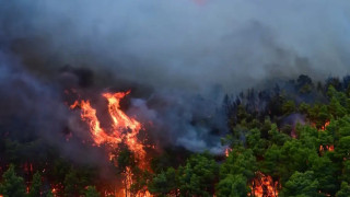 Φωτιά στο Πόρτο Γερμενό: Στις φλόγες το εξοχικό του Τάσου Χαλκιά
