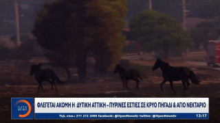 Δορυφορική ανάλυση: Πάνω από 126.000 στρέμματα κάηκαν σε Κιθαιρώνα και Άγιο Νικόλαο