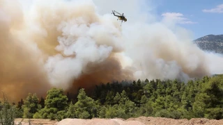 Φωτιά στην Κασσάνδρα: Μεγάλη κινητοποίηση της Πυροσβεστικής