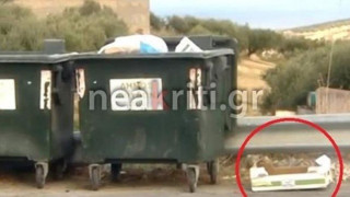 Φρίκη στο Ηράκλειο: Πολτοποίησαν τέσσερα νεογέννητα κουταβάκια