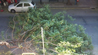 Θεσσαλονίκη: Πτώση δέντρων στον Περιφερειακό από τους ισχυρούς ανέμους