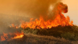 Συνελήφθη 46χρονος αλλοδαπός για τη μεγάλη πυρκαγιά στην Ηλεία