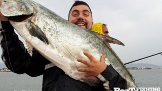 Ψάρι γίγαντας στο Αιγαίο!              (ΦΩΤΟ & ΒΙΝΤΕΟ)