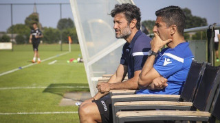 Λουτσέσκου,       για βασικούς,     λάθη και Βασιλεία
