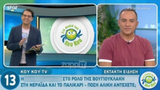 «Η Νεράιδα και το Παλικάρι» στο θέατρο με πρωταγωνιστές... έκπληξη!