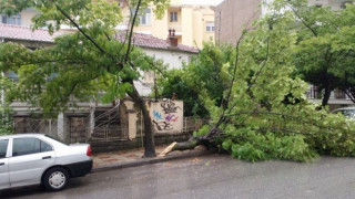 Θεσσαλονίκη: Δυνατούς ανέμους και πτώσεις δέντρων έφερε ο «Ξενοφών»