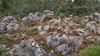 Αυτοκτόνησε με φυτοφάρμακο ο δολοφόνος της κτηνοτρόφου στο Λεωνίδιο (pics)