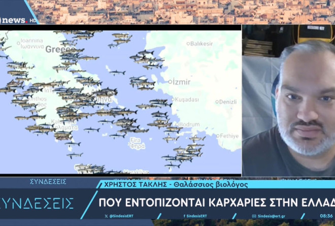 Καρχαρίες στην Ελλάδα: Ποια είδη υπάρχουν-Πού εντοπίζονται