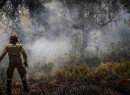 Θεσσαλονίκη: Συναγερμός για φωτιά στα Κουφάλια-Ήχησε το 112