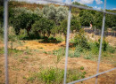 Κυνικός ο δολοφόνος της Σταυρούλας Λεβεντάκη: «Θα μπλέξω για μια τρελή»
