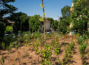 Θεσσαλονίκη: Αυτό είναι το πρώτο Urban Micro Forest στη Βόρεια Ελλάδα