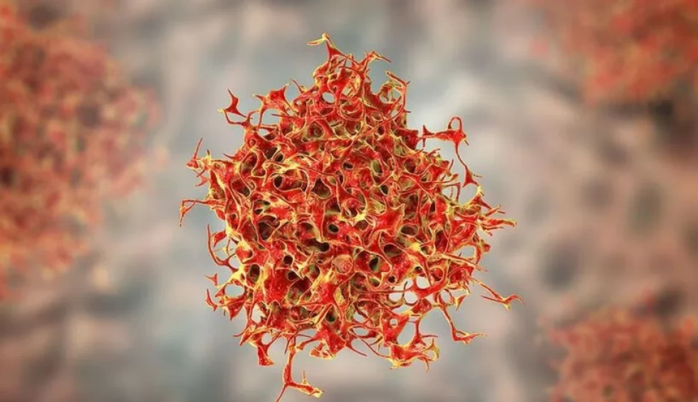 A generic square placeholder image with rounded corners in a figure.