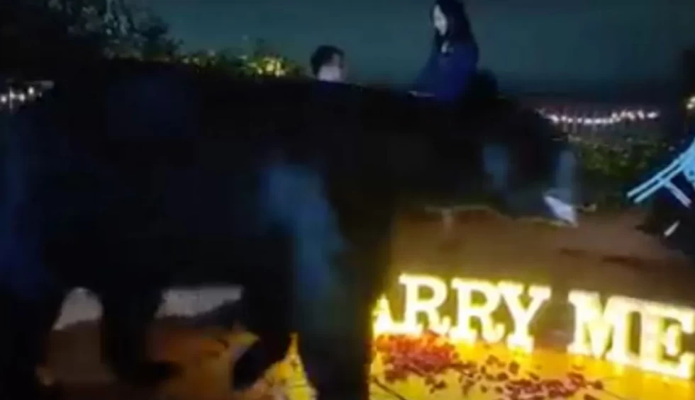 A generic square placeholder image with rounded corners in a figure.