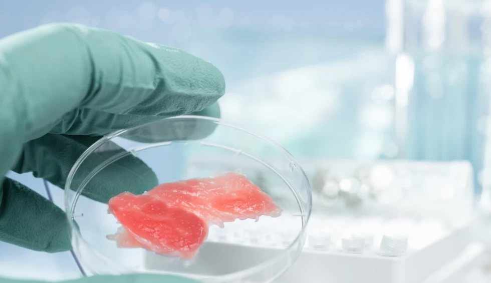 A generic square placeholder image with rounded corners in a figure.