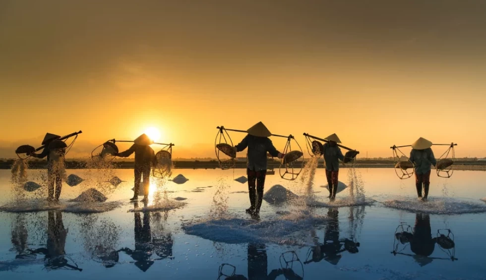 A generic square placeholder image with rounded corners in a figure.