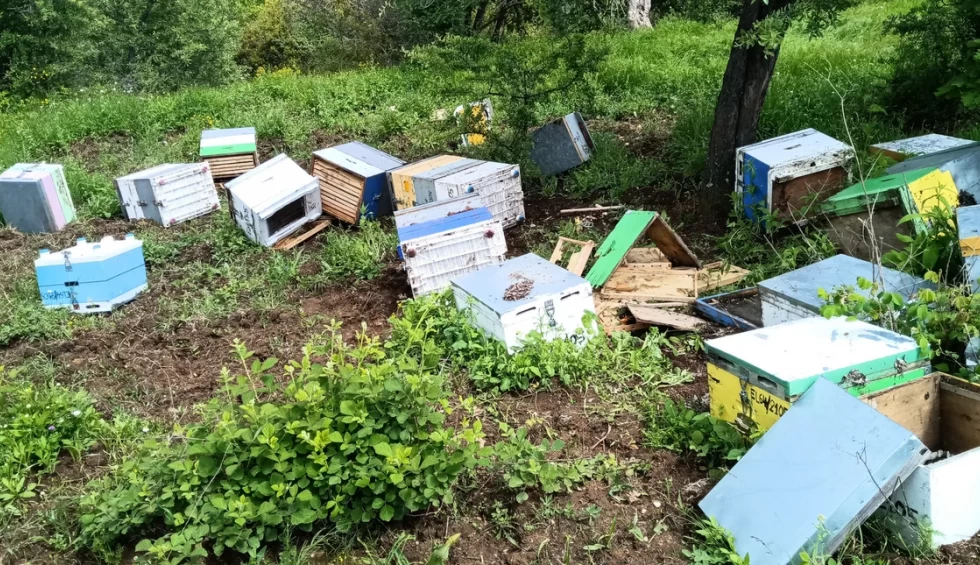 A generic square placeholder image with rounded corners in a figure.