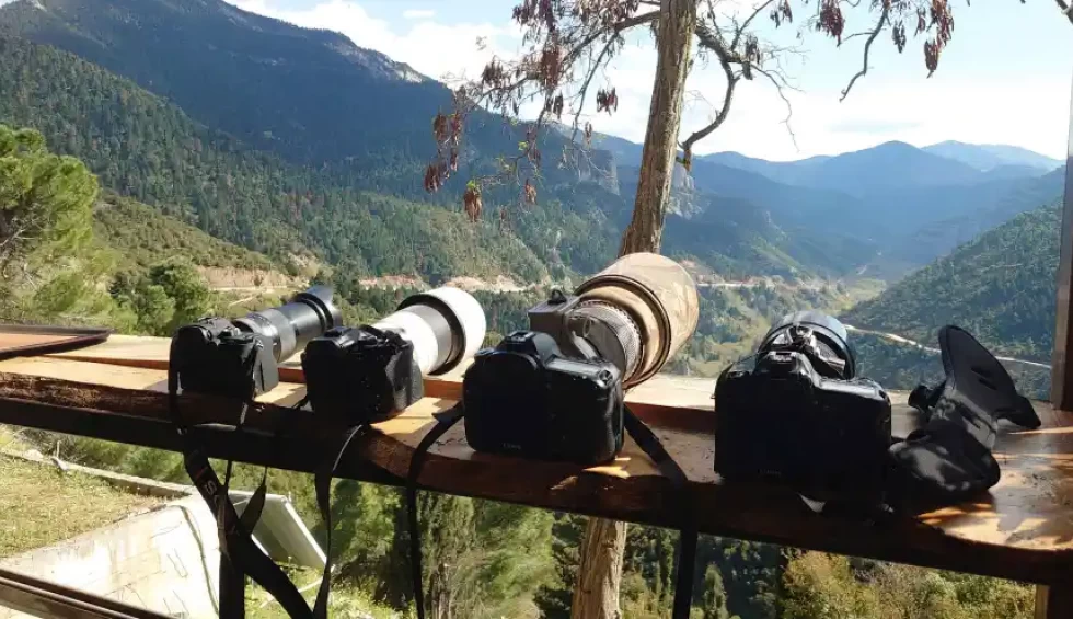 A generic square placeholder image with rounded corners in a figure.