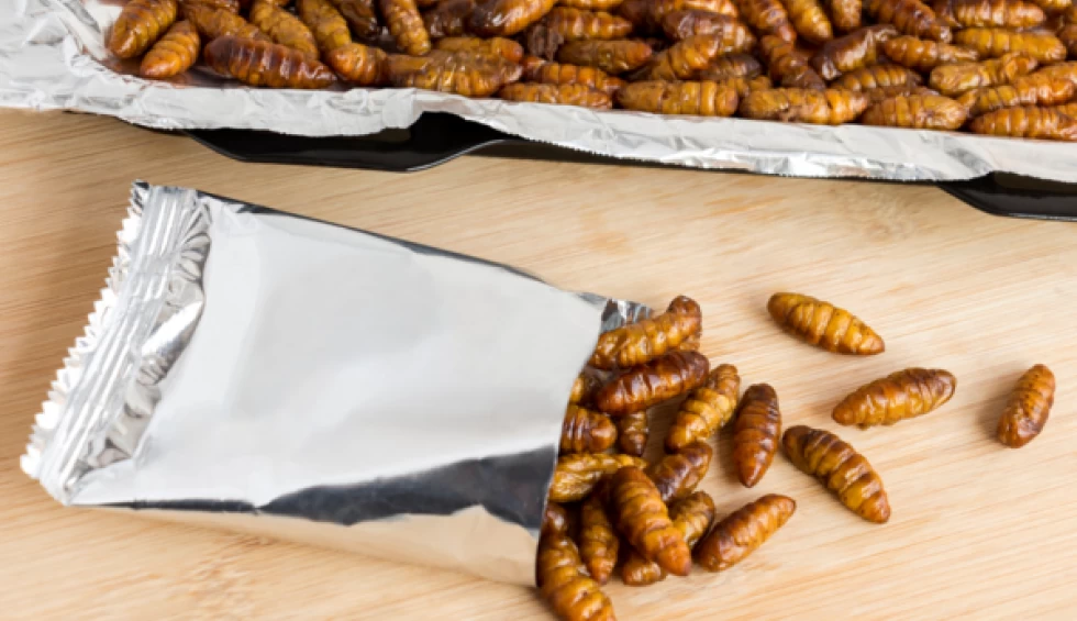 A generic square placeholder image with rounded corners in a figure.