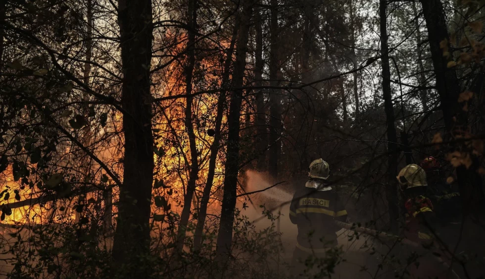 A generic square placeholder image with rounded corners in a figure.