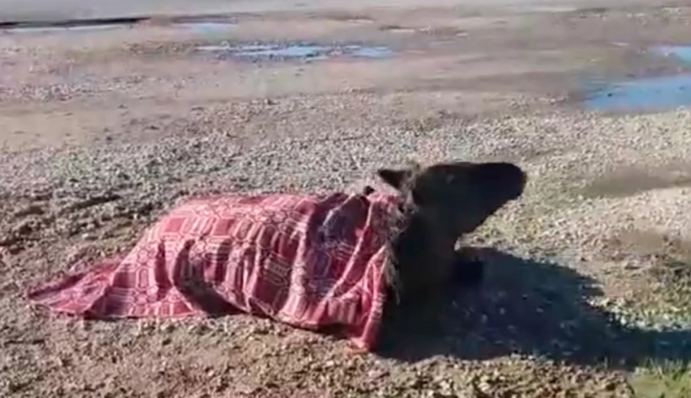 A generic square placeholder image with rounded corners in a figure.