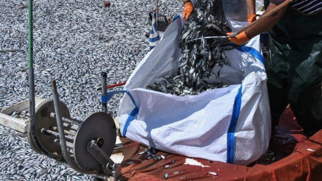 Διπλασιάζεται η επιδότηση αλιευτικού πετρελαίου